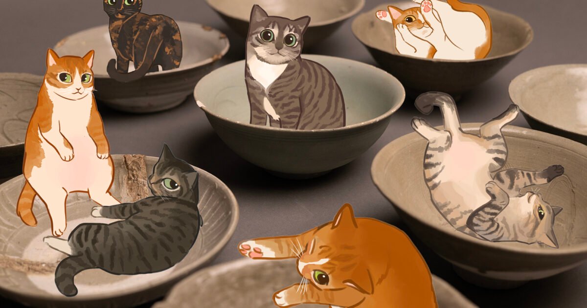 For the Love of Cats